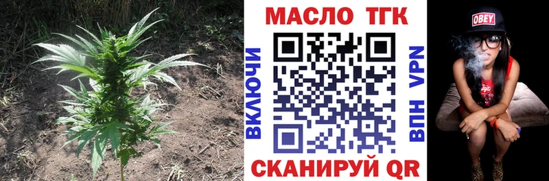 ТГК концентрат  Купить где  Добрянка 
